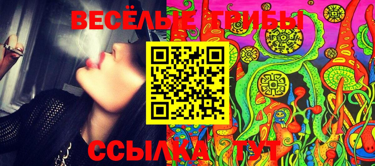 Галлюциногенные грибы MAGIC MUSHROOMS Анжеро-Судженск